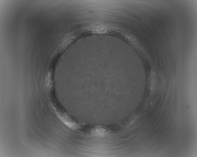 X0000080780598200612151431
