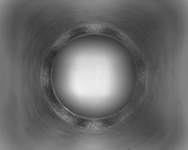 X0000080780599200612151431