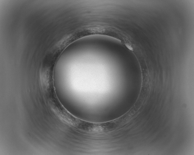 X0000080780600200612151431