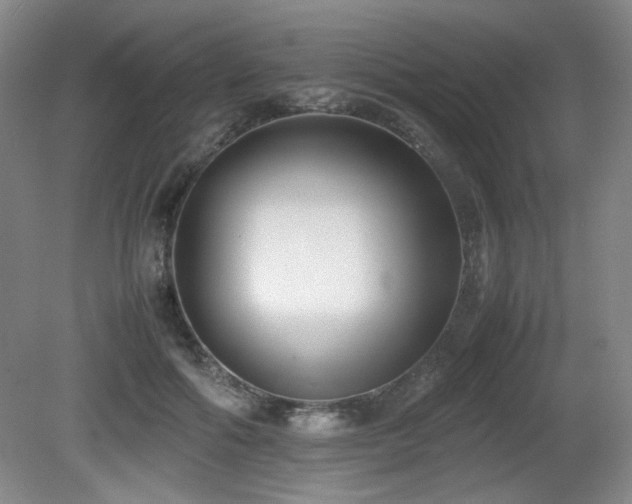 X0000080780602200612151431