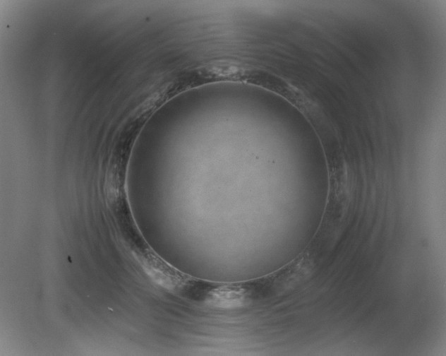 X0000080780606200612151431