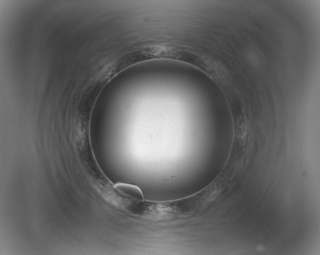 X0000080780607200612151431