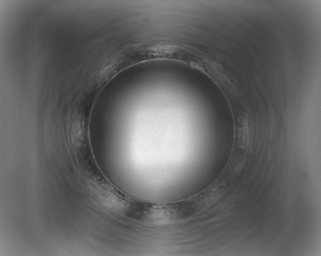 X0000080780608200612151431