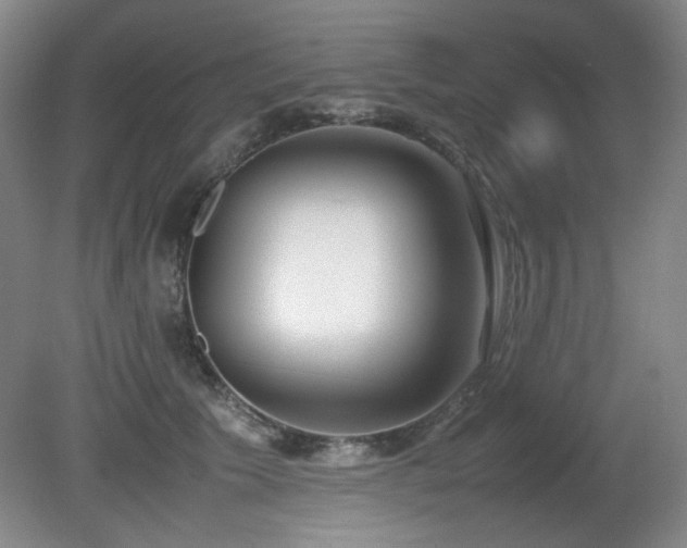 X0000080780609200612151431