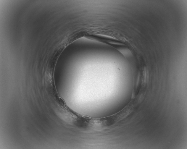 X0000080780613200612151430