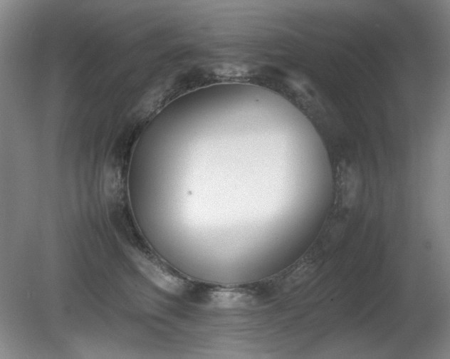 X0000080780614200612151430