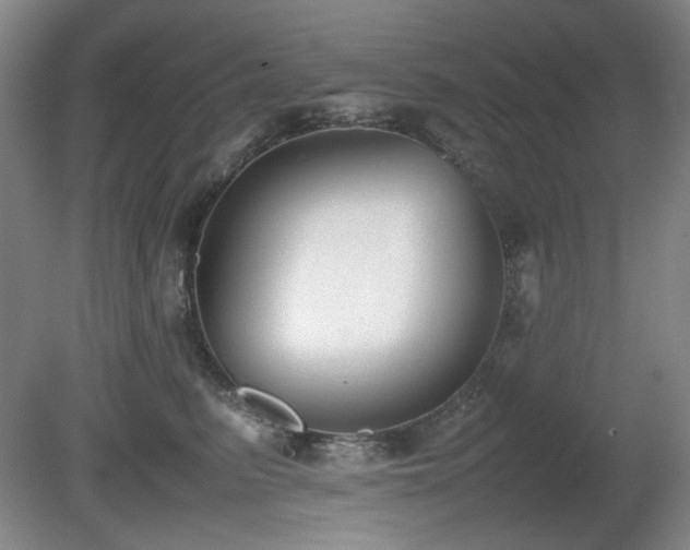 X0000080780615200612151430