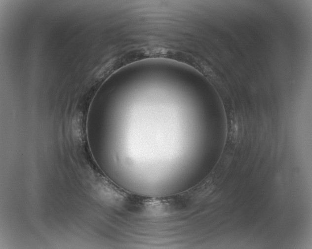 X0000080780616200612151430