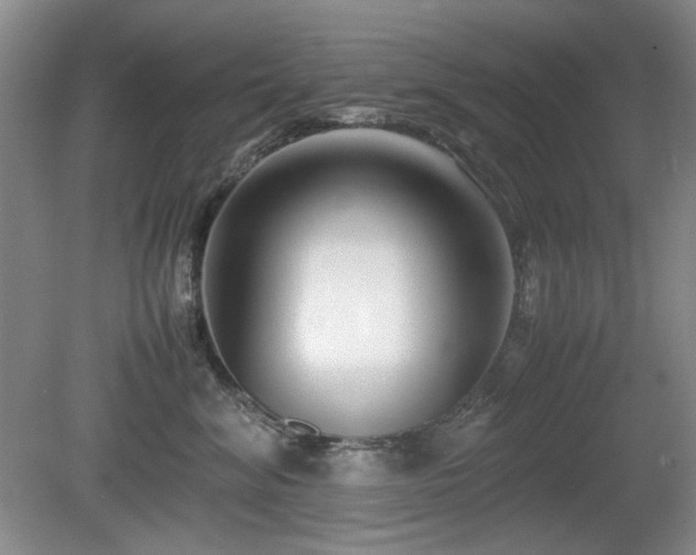 X0000080780620200612151430