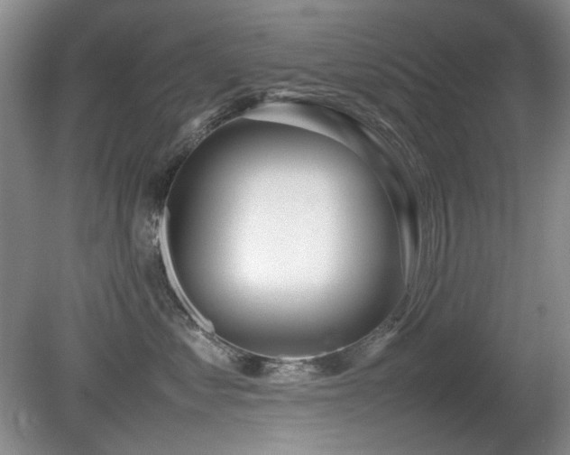 X0000080780621200612151430