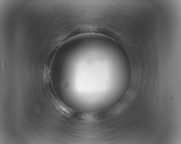 X0000080780624200612151430