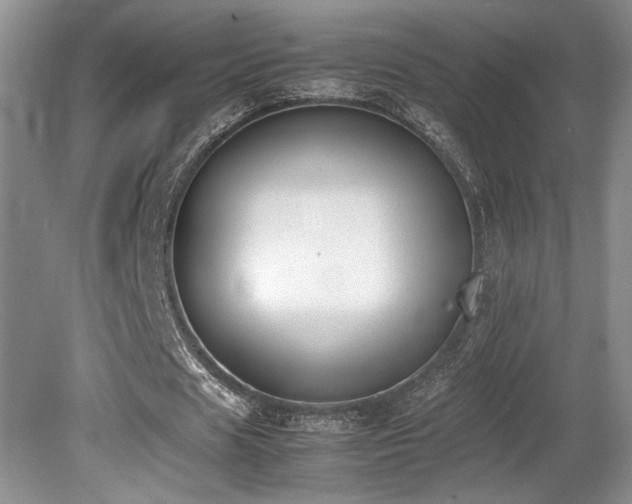 X0000080780625200612151429
