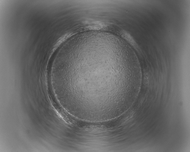X0000080780626200612151429