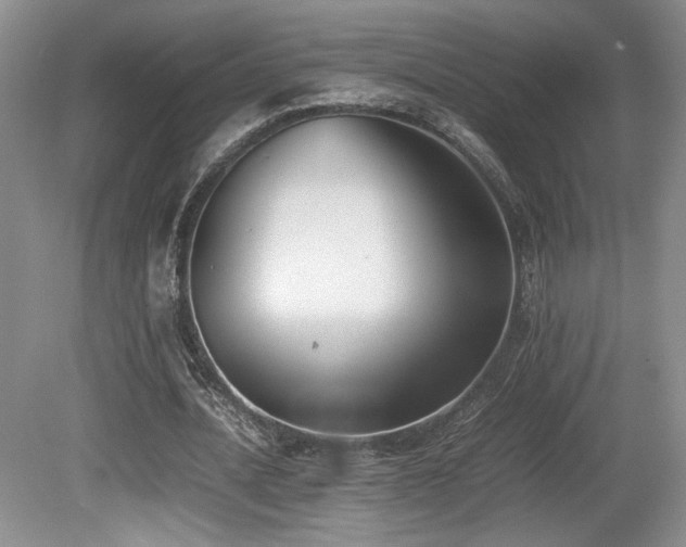 X0000080780628200612151430