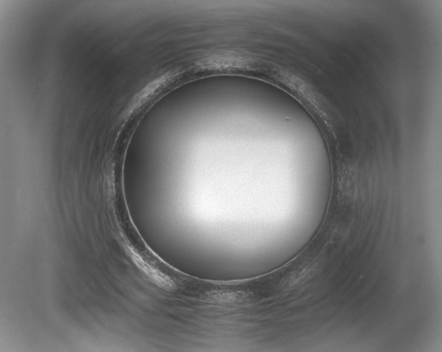 X0000080780629200612151430