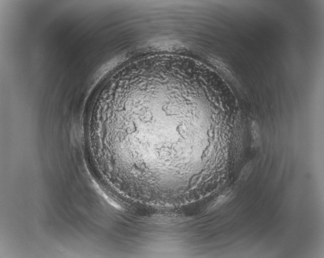 X0000080780630200612151430
