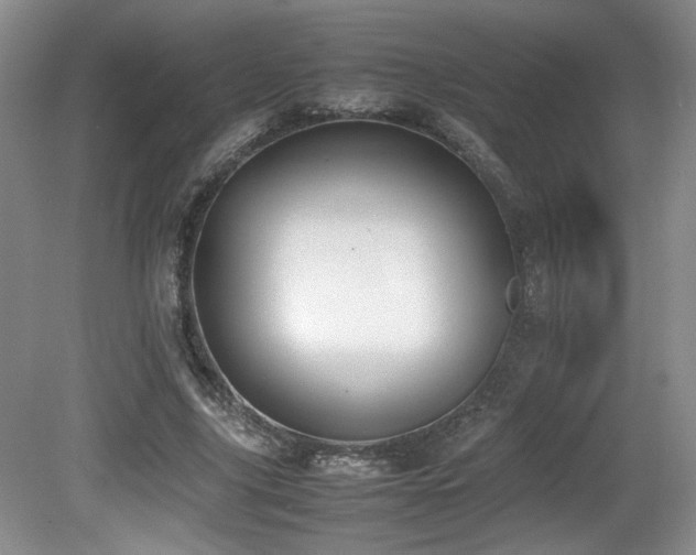 X0000080780635200612151430