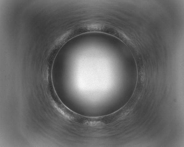 X0000080780637200612151430