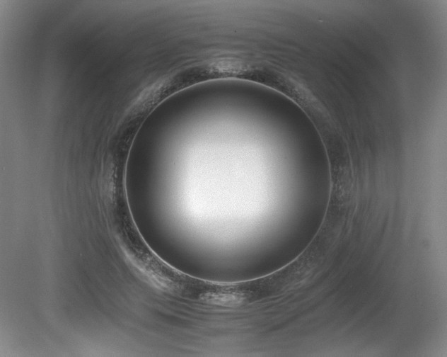 X0000080780639200612151430