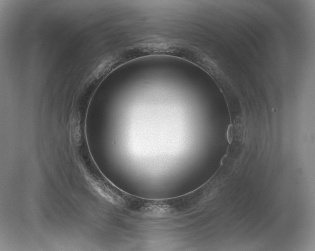 X0000080780642200612151430