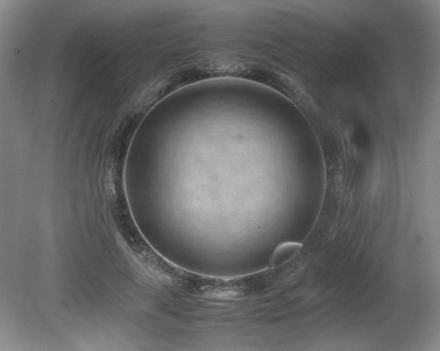X0000080780643200612151430
