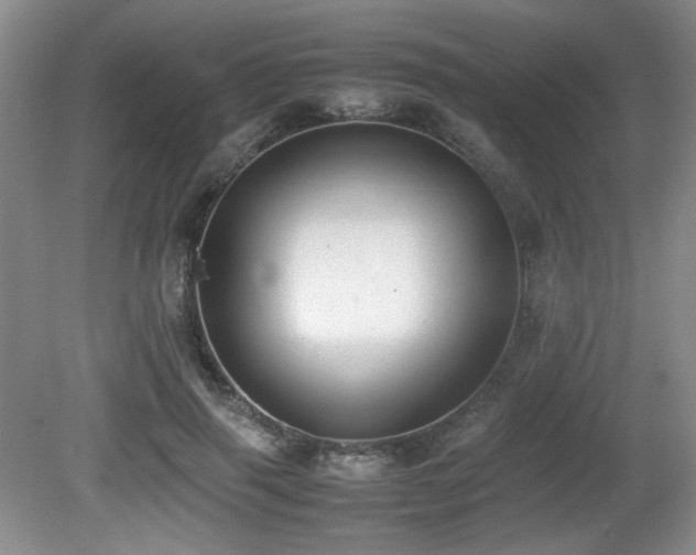 X0000080780645200612151430