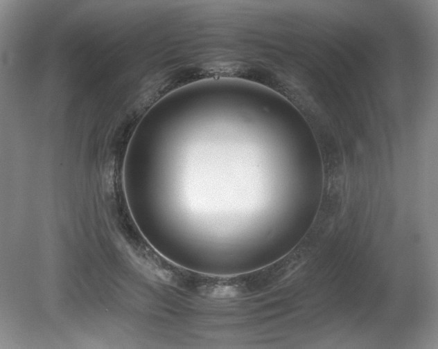 X0000080780647200612151430