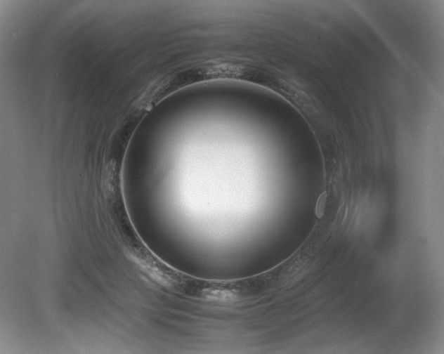 X0000080780649200612151430