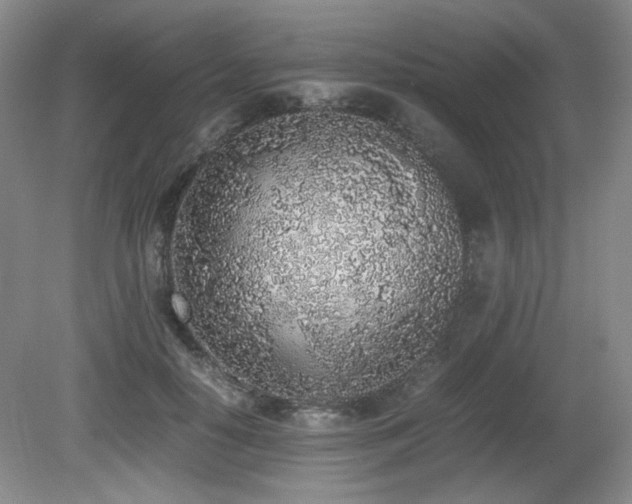 X0000080780650200612151430