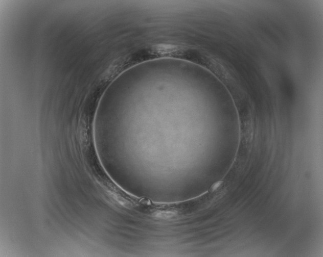 X0000080780653200612151430