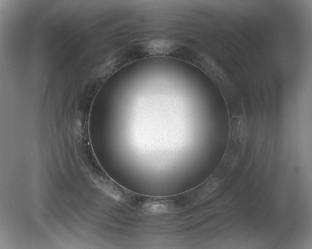 X0000080780655200612151430