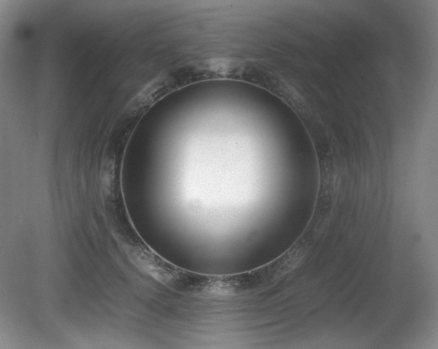 X0000080780656200612151430