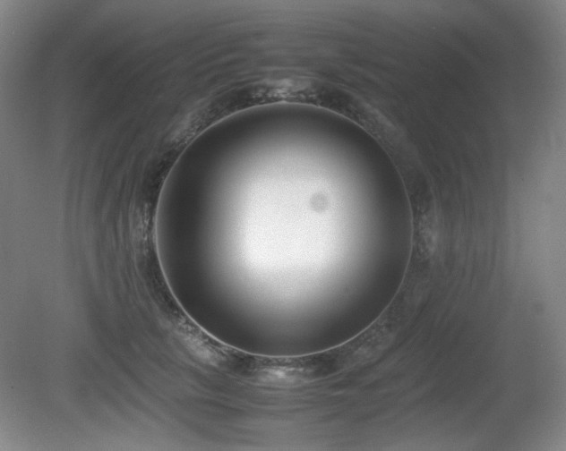X0000080780657200612151430