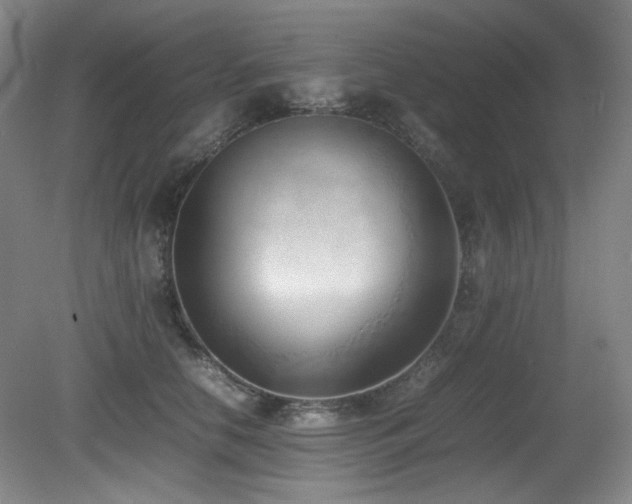 X0000080780658200612151430
