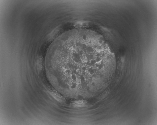 X0000080780659200612151430