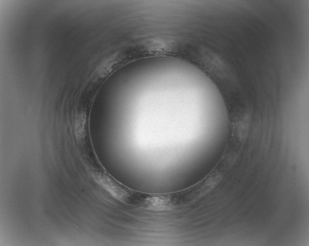 X0000080780660200612151430