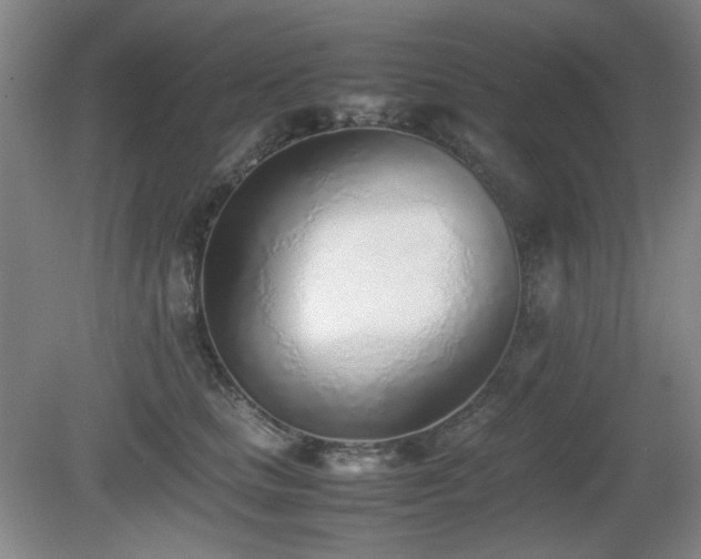 X0000080780661200612151430