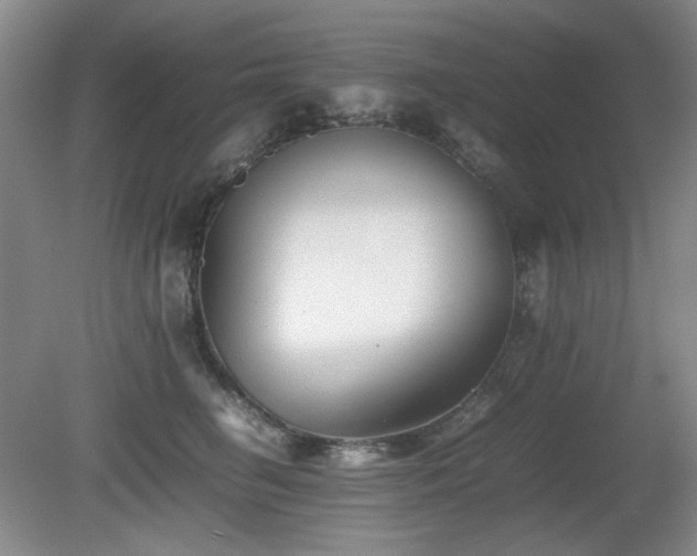 X0000080780662200612151430
