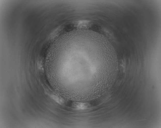 X0000080780663200612151430