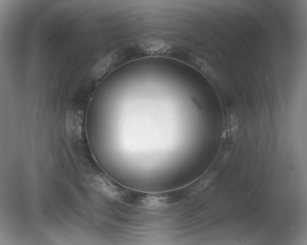 X0000080780664200612151430