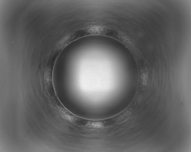 X0000080780665200612151430