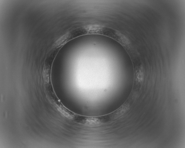 X0000080780666200612151430