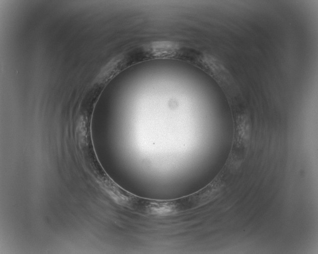 X0000080780667200612151430