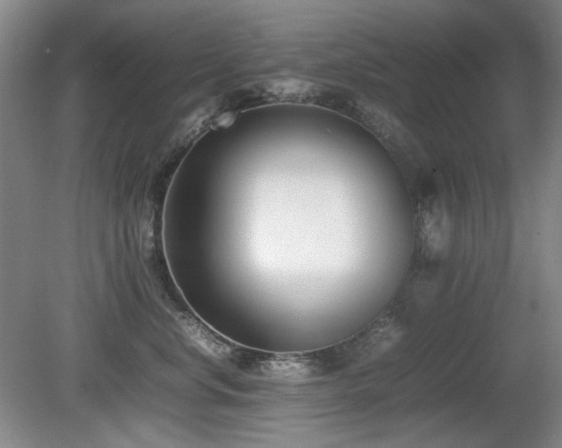 X0000080780668200612151430