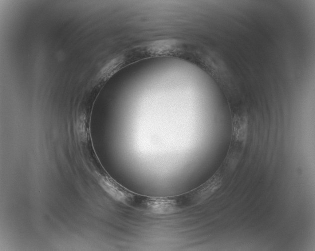 X0000080780670200612151430
