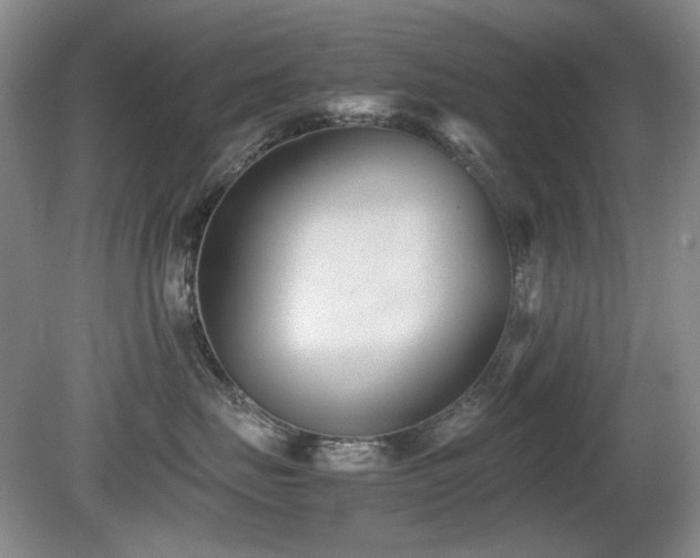 X0000080780671200612151430