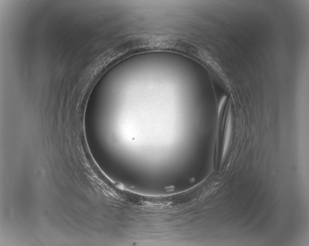 X0000080780673200612151429
