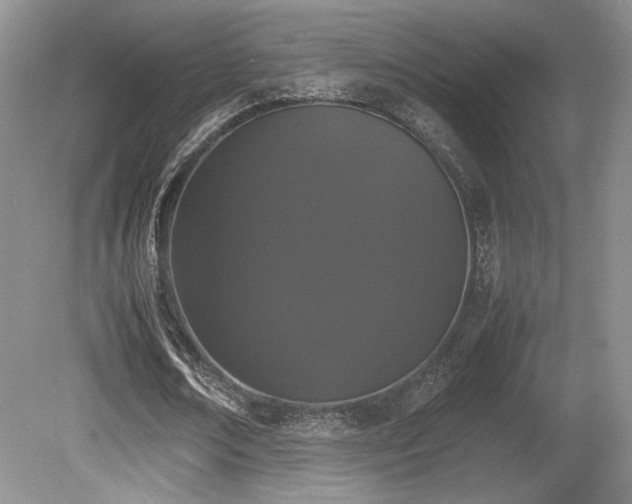 X0000080780674200612151429