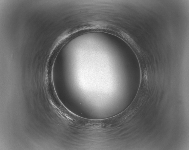 X0000080780676200612151429
