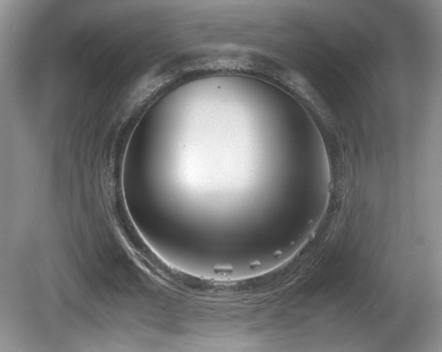 X0000080780677200612151429